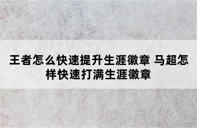 王者怎么快速提升生涯徽章 马超怎样快速打满生涯徽章